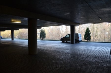 DSC_0881.JPG