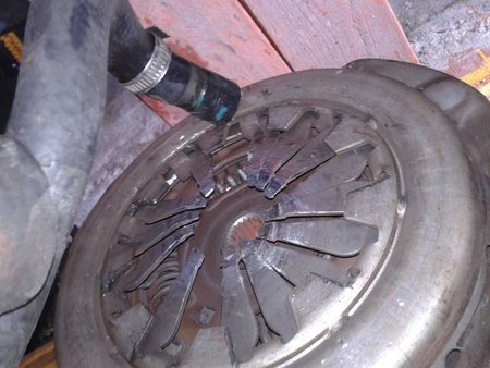 20140620_085025.jpg