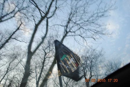 DSC_0444.jpg