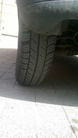 WP_20160403_001.jpg
