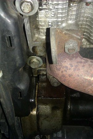 IMAG0161.jpg
