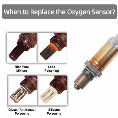 ENG_03_OxySensor.jpg