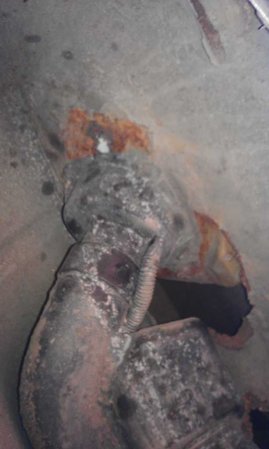 IMAG0116.jpg