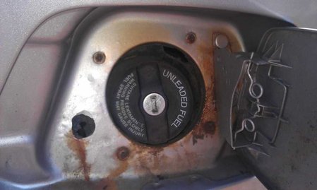 IMAG0113.jpg