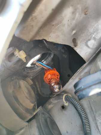 IMG_20240905_160905.jpg