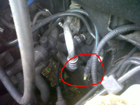 IMG00199-20120614-2035.jpg