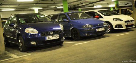DSC_0319.jpg