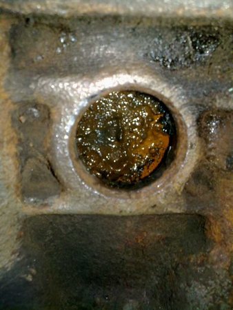 20121125875.jpg