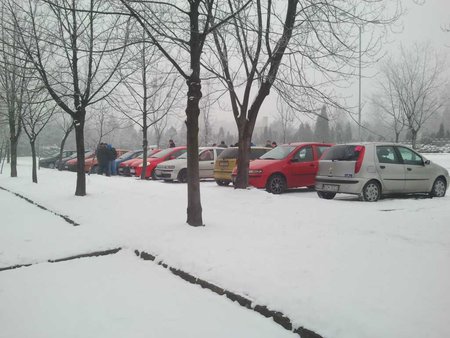 Zdjęcie2584.jpg