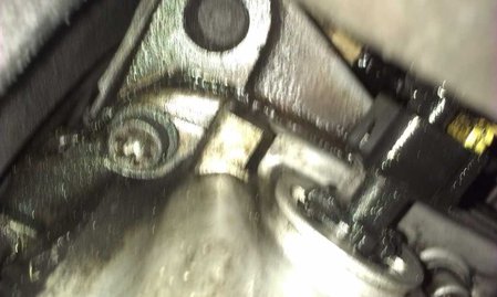 IMAG0092.jpg
