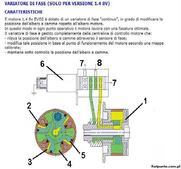 Fiat Punto :: Forum • Zobacz Temat - 1.4 8V Zmienna Faza Rozrzadu