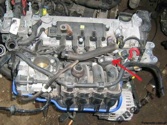 Fiat Punto :: Forum • Zobacz Temat - Problem Z Odpaleniem Zimnego Grande 1.4 8V 2005R.