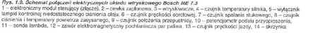 opis2.jpg